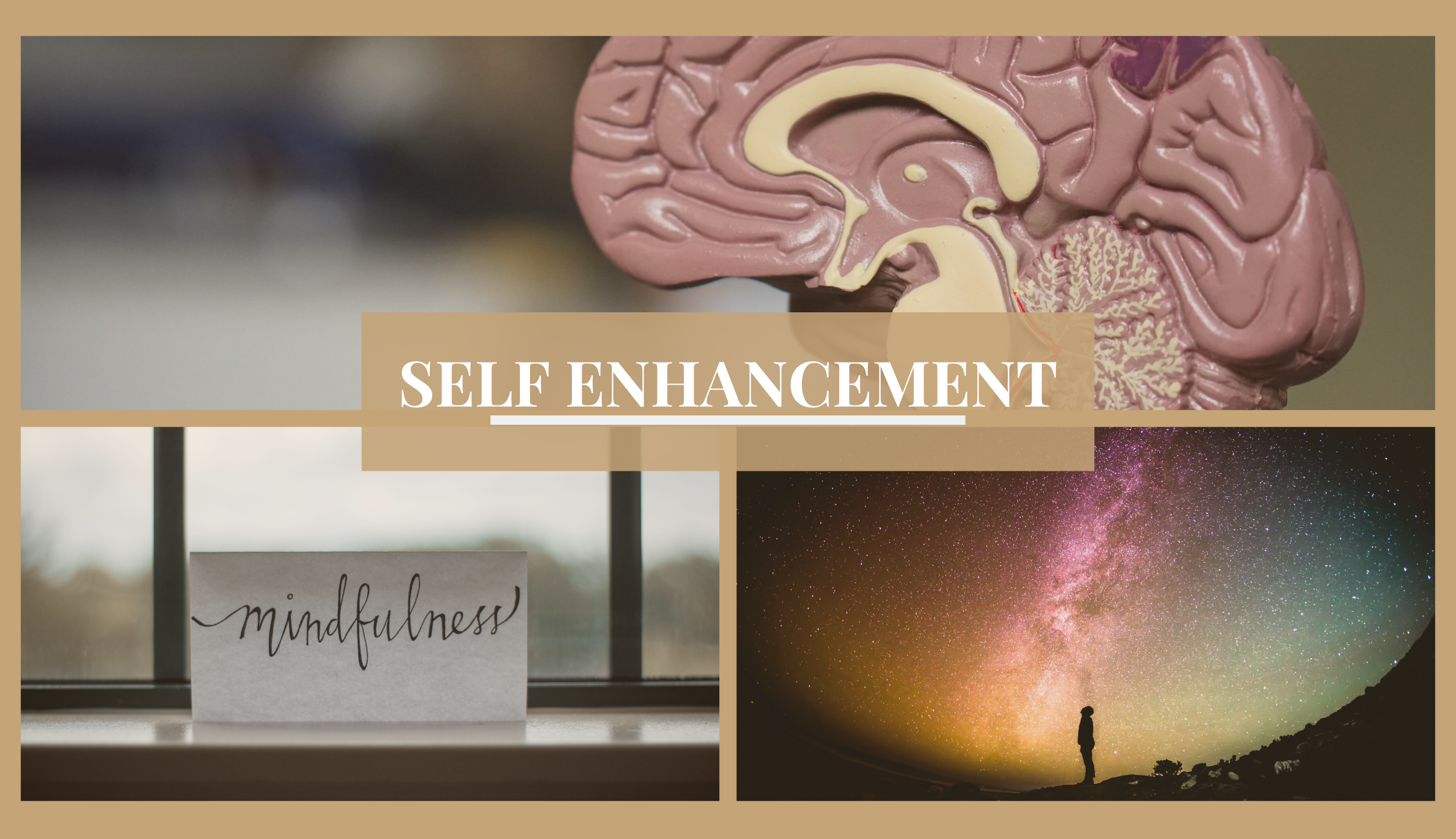 SELF ENHANCEMENT (7)